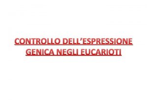 CONTROLLO DELLESPRESSIONE GENICA NEGLI EUCARIOTI Negli eucarioti ogni