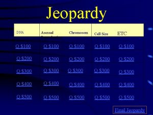 Jeopardy DNA Asexual Reproduction Chromosom es Cell Size