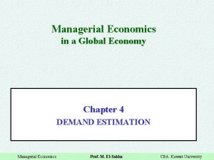 Managerial Economics in a Global Economy Chapter 4