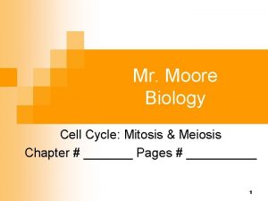 Mitosis and meiosis