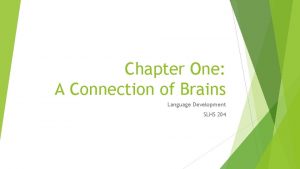 Chapter One A Connection of Brains Language Development