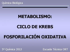 Qumica Biolgica METABOLISMO CICLO DE KREBS FOSFORILACIN OXIDATIVA