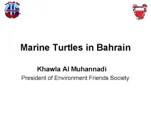 Marine Turtles in Bahrain Khawla Al Muhannadi President