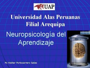 Universidad Alas Peruanas Filial Arequipa Neuropsicologa del Aprendizaje