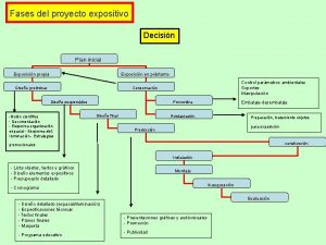 Fases del proyecto expositivo Decisin Plan inicial Exposicin