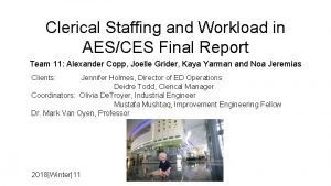 Clerical Staffing and Workload in AESCES Final Report