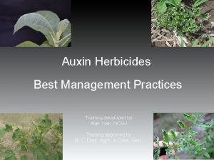 Auxin Herbicides Best Management Practices Training developed by