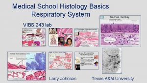 Medical School Histology Basics Respiratory System VIBS 243