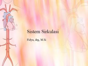 Sistem Sirkulasi Fidya drg M Si Dibagi menjadi