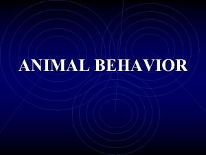 ANIMAL BEHAVIOR TERMS TO KNOW Instinct reflexes and