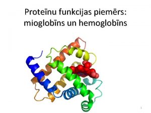 Protenu funkcijas piemrs mioglobns un hemoglobns 1 Skbekli