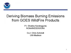 Deriving Biomass Burning Emissions from GOES Wild Fire