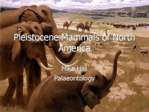 Pleistocene Mammals of North America Mike Hils Palaeontology