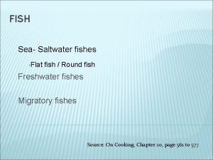 Saltwater round fish