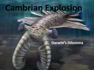 Cambrian Explosion Darwins Dilemma The Cryogenian Periods of