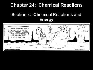 Chapter 24 Chemical Reactions Section 4 Chemical Reactions
