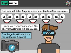 Auge Aufbau Das menschliche Auge ist unser wichtigstes