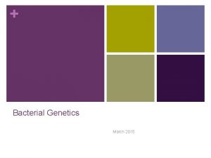 Bacterial Genetics March 2015 Terminology n Genetics The