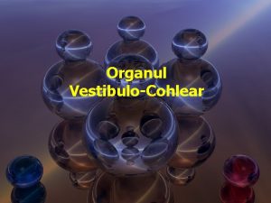 Organul VestibuloCohlear Rol recepia undelor sonore meninerea echilibrului