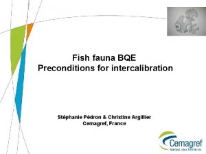 Fish fauna BQE Preconditions for intercalibration Stphanie Pdron