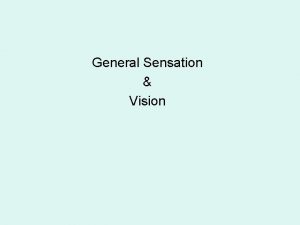 General Sensation Vision Sensory Receptors Structures specialized to