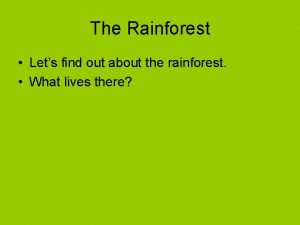 The Rainforest Lets find out about the rainforest