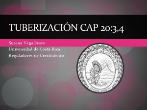 TUBERIZACIN CAP 20 3 4 Susana Vega Bravo