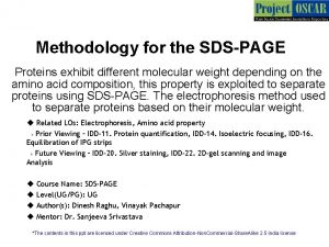 Methodology for the SDSPAGE Proteins exhibit different molecular