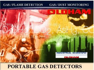 GAS FLAME DETECTION GAS DUST MONITORING PORTABLE GAS
