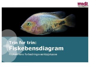 Fiskebensdiagram skabelon