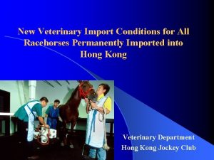 New Veterinary Import Conditions for All Racehorses Permanently