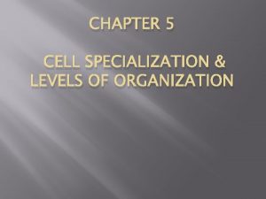 CHAPTER 5 CELL SPECIALIZATION LEVELS OF ORGANIZATION Organism