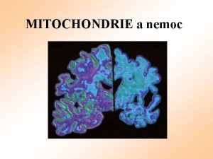 MITOCHONDRIE a nemoc Mitochondrie v buce Funkce MTCH