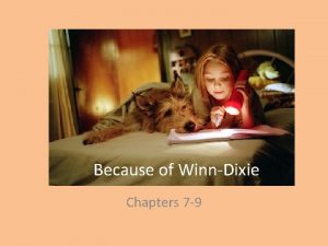 Because of WinnDixie Chapters 7 9 irritating irritating