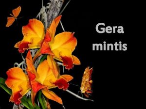 Gera mintis Neik ten kur veda kelias veriau