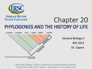 Chapter 20 PHYLOGENIES AND THE HISTORY OF LIFE