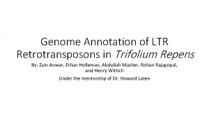 Genome Annotation of LTR Retrotransposons in Trifolium Repens