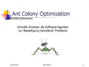 Ant Colony Optimization Virtuelle Ameisen als SoftwareAgenten zur