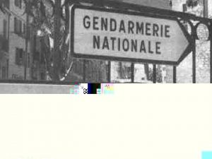 Gendarme n m mammifre commun de couleur bleu