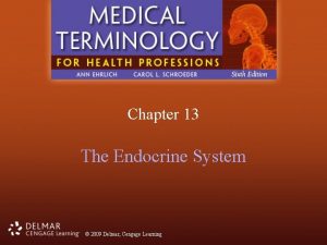 Chapter 13 The Endocrine System 2009 Delmar Cengage