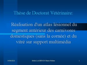 Thse de Doctorat Vtrinaire Ralisation dun atlas lsionnel