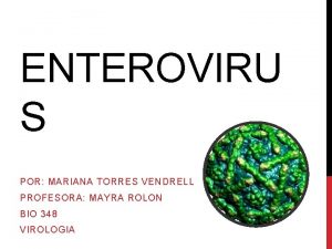 ENTEROVIRU S POR MARIANA TORRES VENDRELL PROFESORA MAYRA