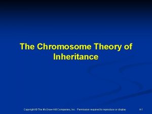 The Chromosome Theory of Inheritance Copyright The Mc