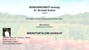 RENDSZERELMLET tantrgy Dr Benedek Andrs szmra BEADAND FELADAT