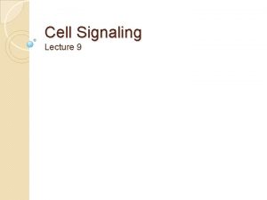 Cell Signaling Lecture 9 JAKSTAT Pathway The JAKSTAT