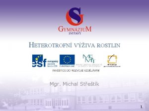 HETEROTROFN VIVA ROSTLIN Mgr Michal Stetk 1 Nzev