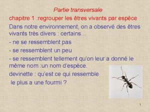 Partie transversale chapitre 1 regrouper les tres vivants