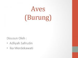 Aves Burung Disusun Oleh Adliyah Safrudin Ika Merdekawati