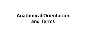 Anatomical Orientation and Terms ANATOMICAL PLANES PLANE imaginary