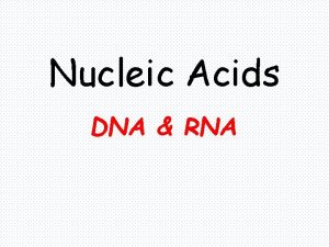 Nucleic Acids DNA RNA The Double Helix DNA